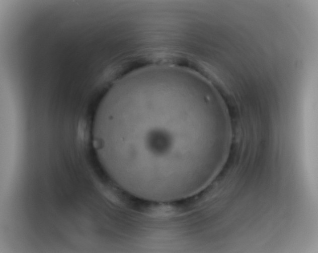 X0000114200695200910091253