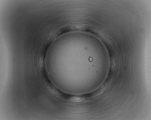 X0000114200699200910091253