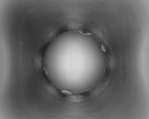 X0000114200712200910091253