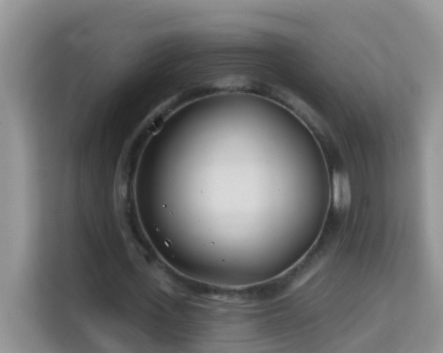 X0000114200723200910091252
