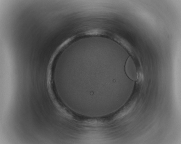 X0000114200724200910091252