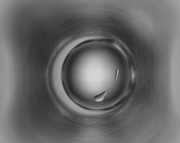 X0000114200725200910091252