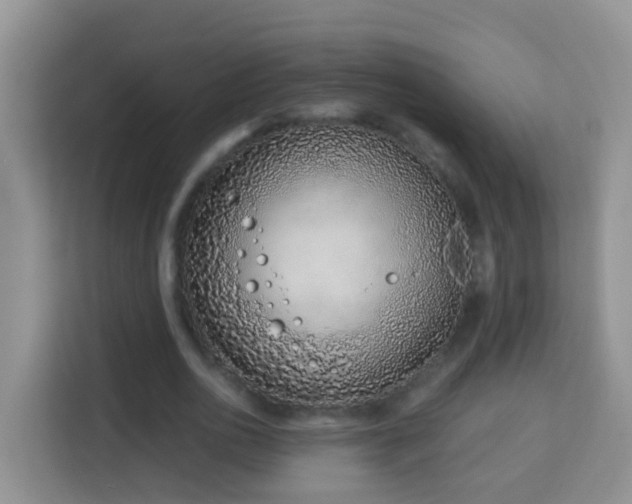 X0000114200726200910091252