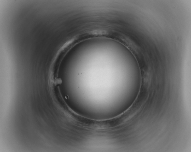 X0000114200727200910091252