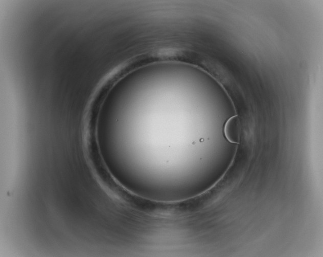 X0000114200728200910091252