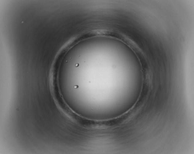 X0000114200730200910091252