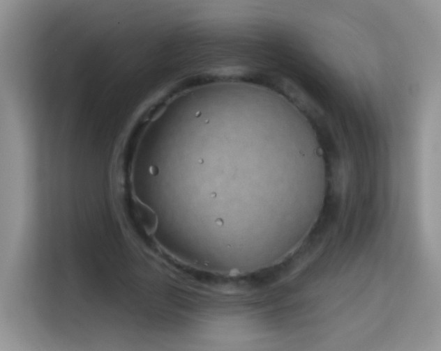 X0000114200731200910091252