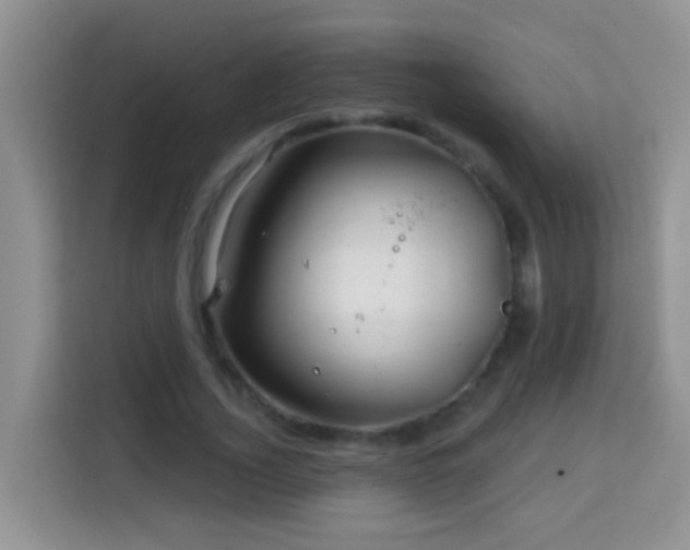 X0000114200732200910091252