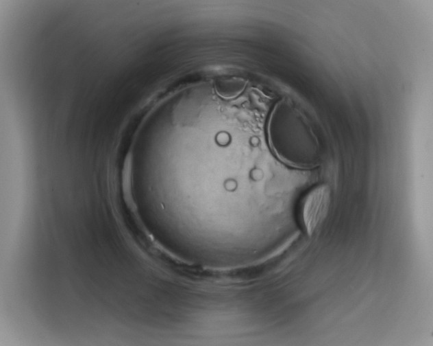 X0000114200734200910091252