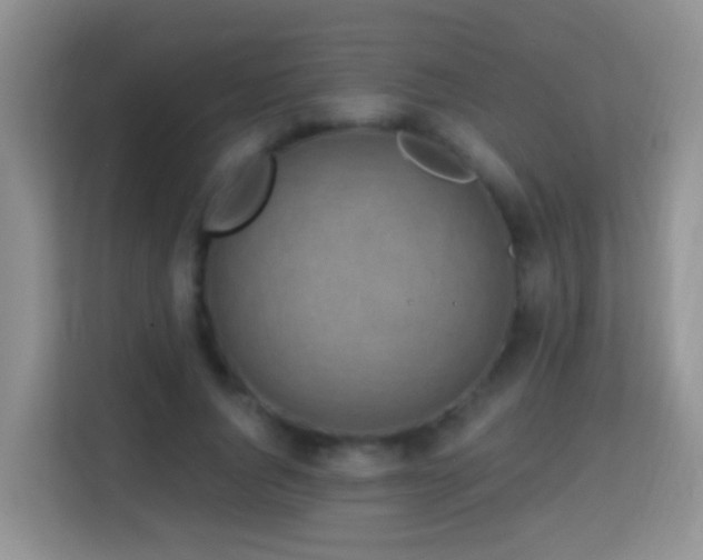 X0000114200736200910091252