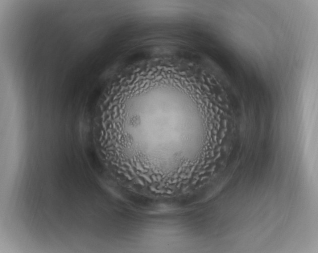 X0000114200737200910091252