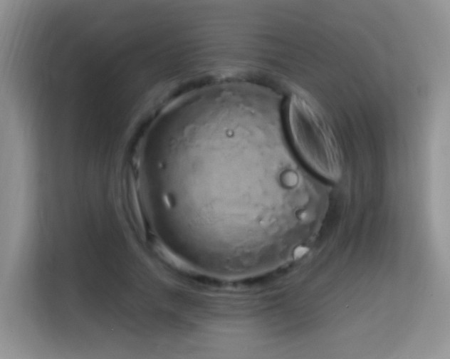 X0000114200738200910091252