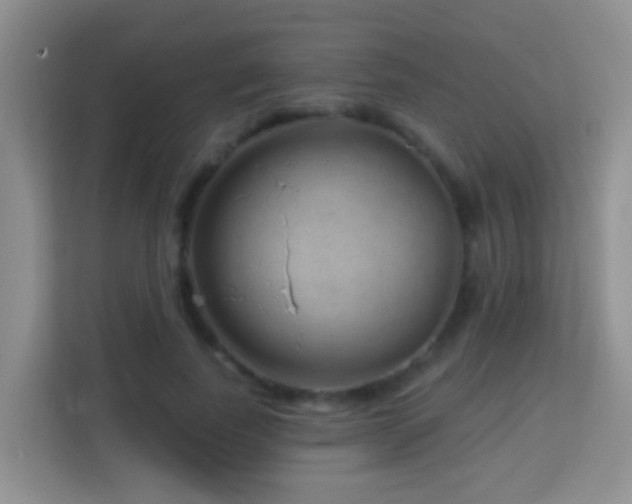 X0000114200739200910091252