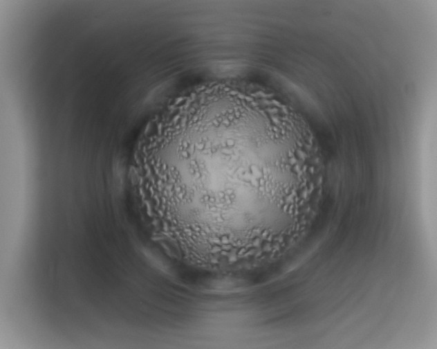 X0000114200741200910091252
