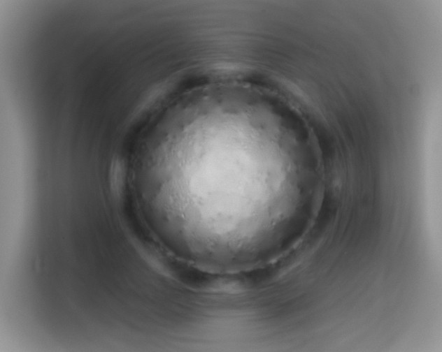 X0000114200742200910091252