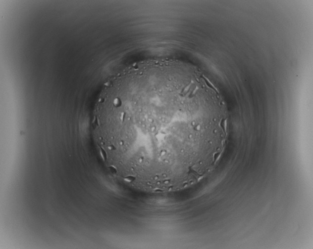 X0000114200745200910091252