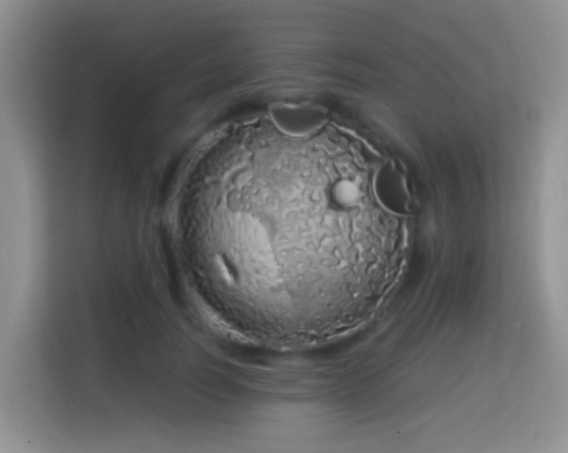 X0000114200746200910091252