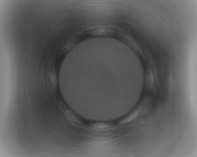 X0000114200749200910091252