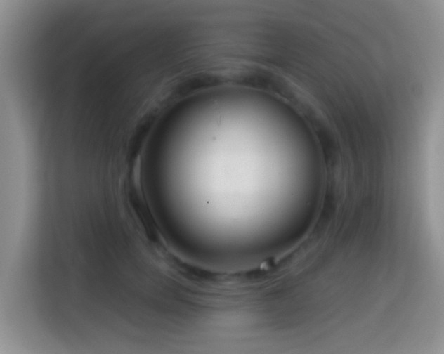 X0000114200750200910091252