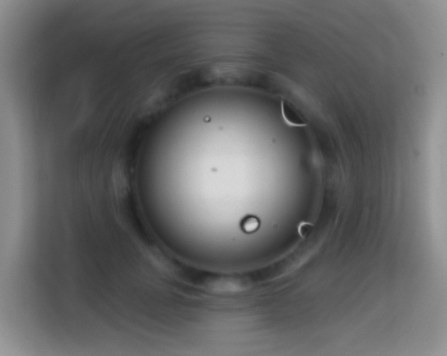 X0000114200751200910091252