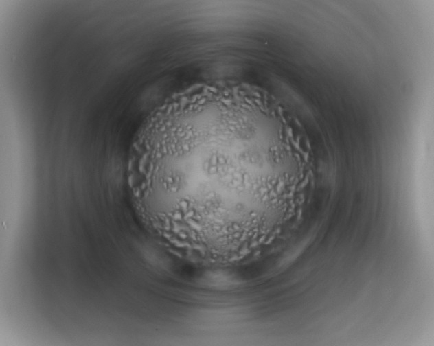 X0000114200753200910091252