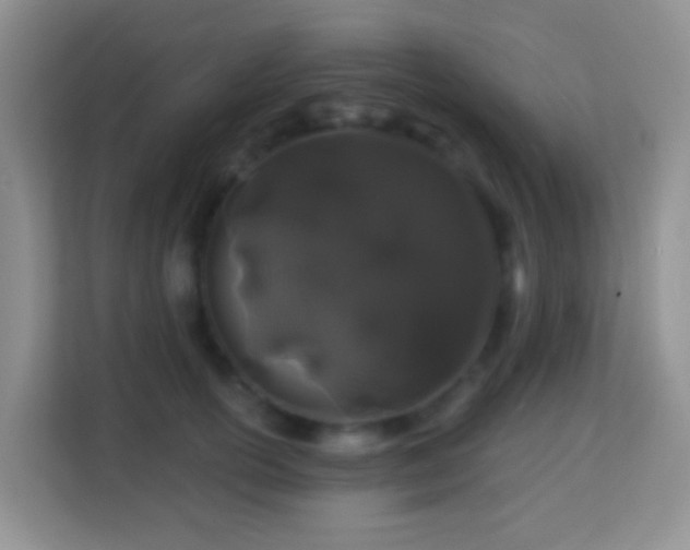 X0000114200754200910091252