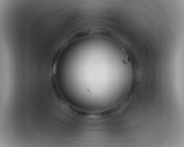 X0000114200756200910091252