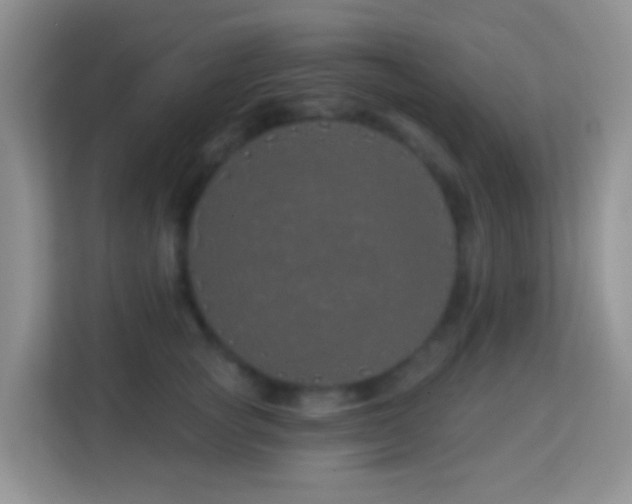 X0000114200757200910091252