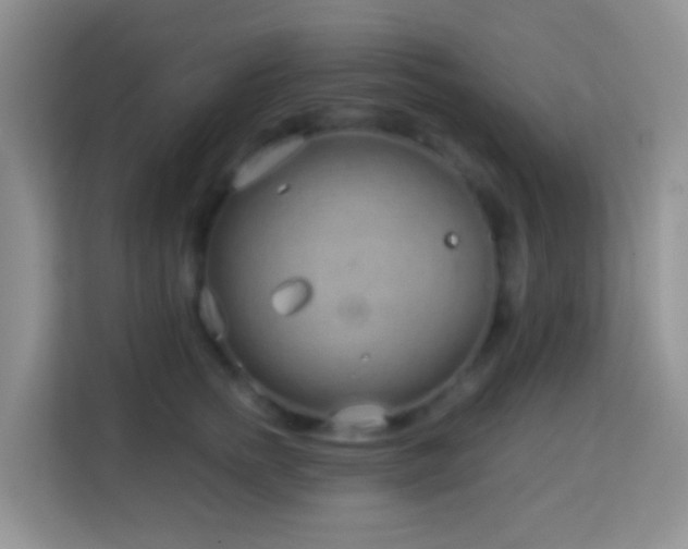 X0000114200758200910091252