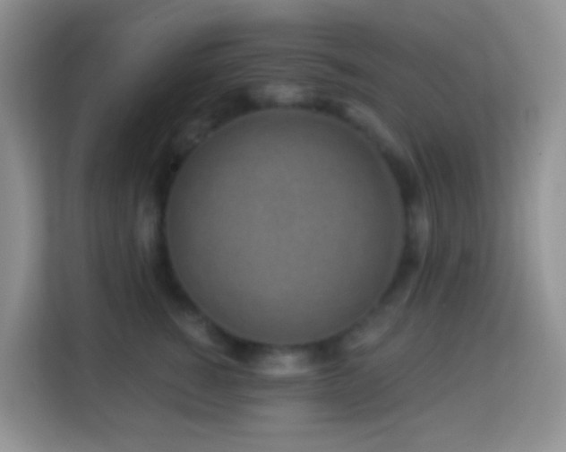 X0000114200760200910091252