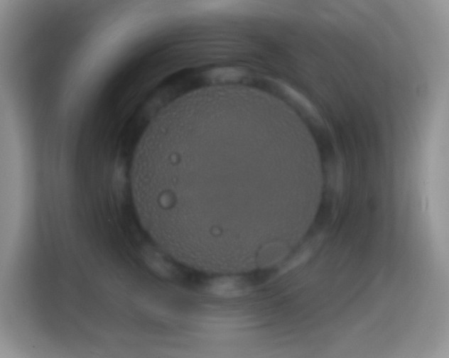 X0000114200761200910091252