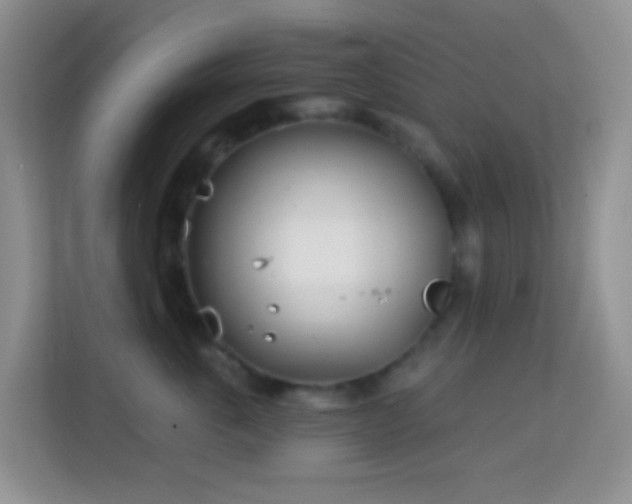 X0000114200763200910091252