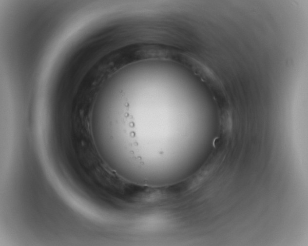 X0000114200764200910091252