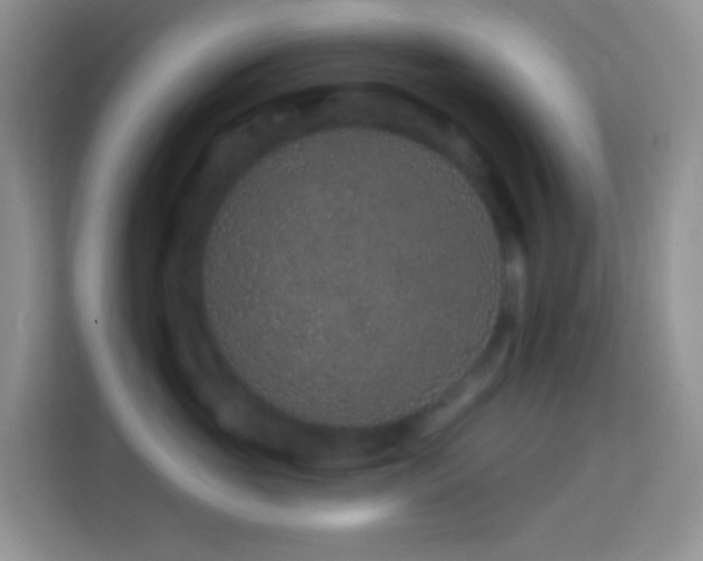 X0000114200765200910091252