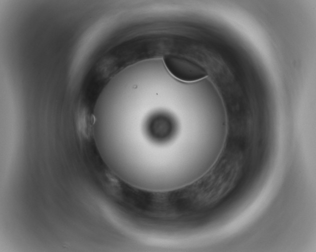 X0000114200766200910091252