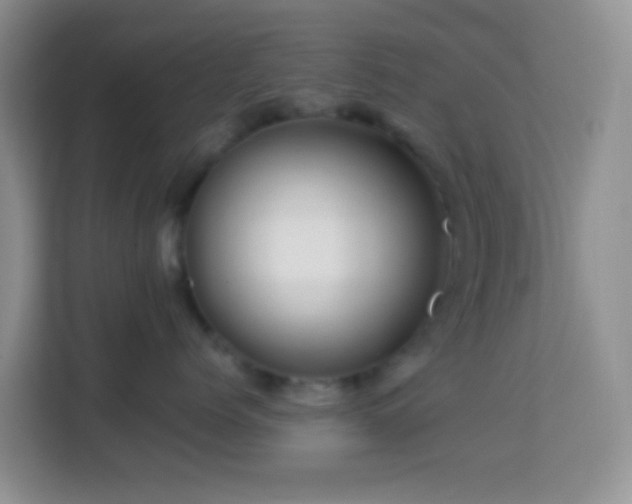 X0000114200768200910091252