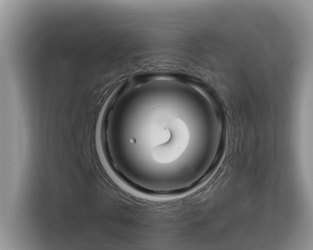 X0000114200769200910091252