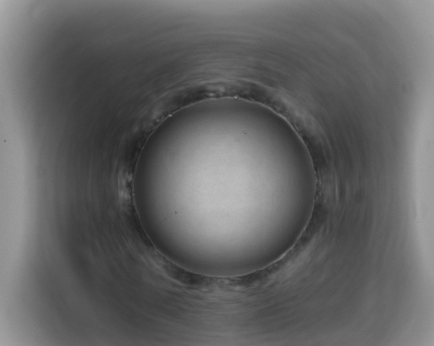 X0000114200770200910091252