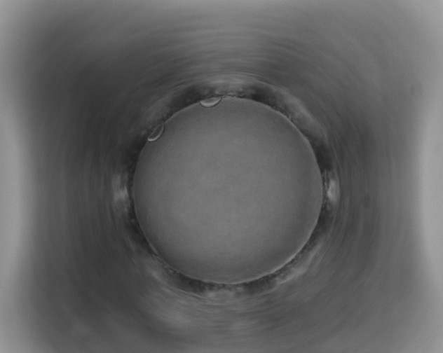 X0000114200771200910091252