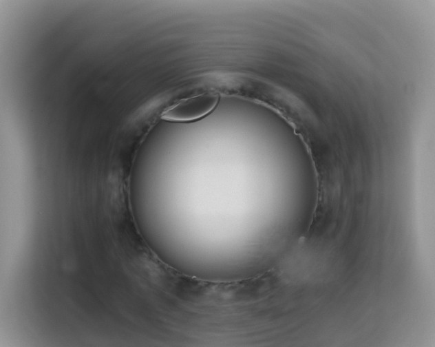 X0000114200773200910091252