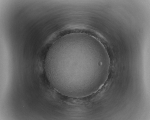 X0000114200774200910091252