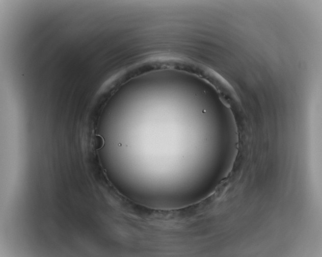 X0000114200775200910091252