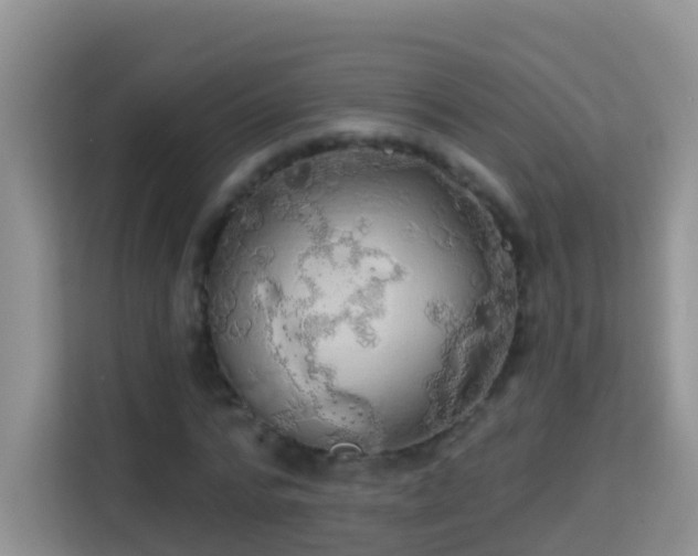 X0000114200776200910091252