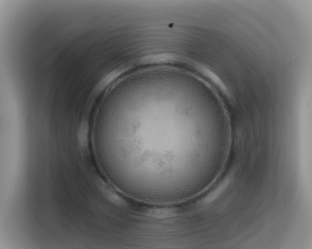 X0000114200778200910091252