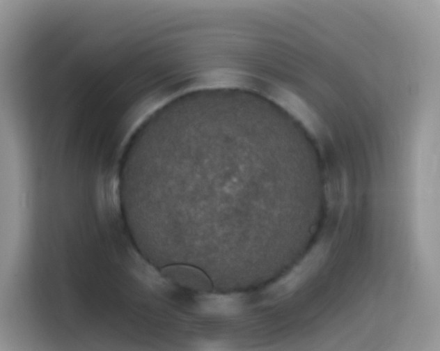X0000114200781200910091252