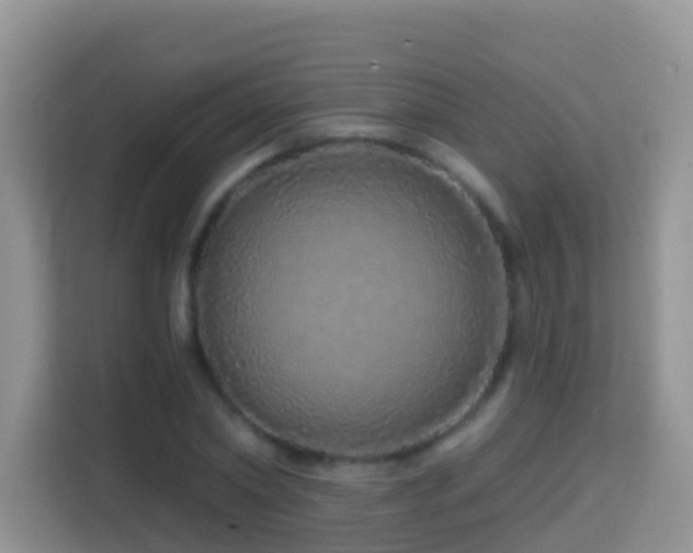 X0000114200782200910091252