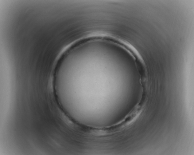 X0000114200783200910091252