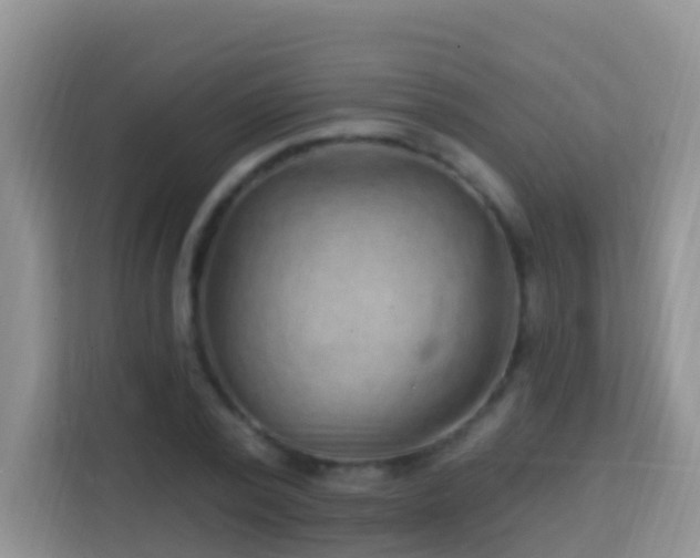 X0000114200784200910091252