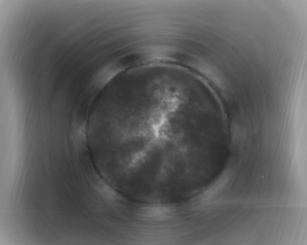 X0000114200785200910091252