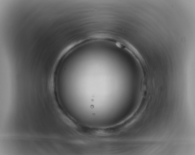 X0000114200787200910091252